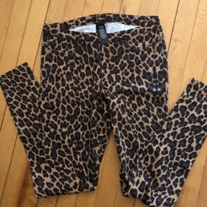 Hue leopard
